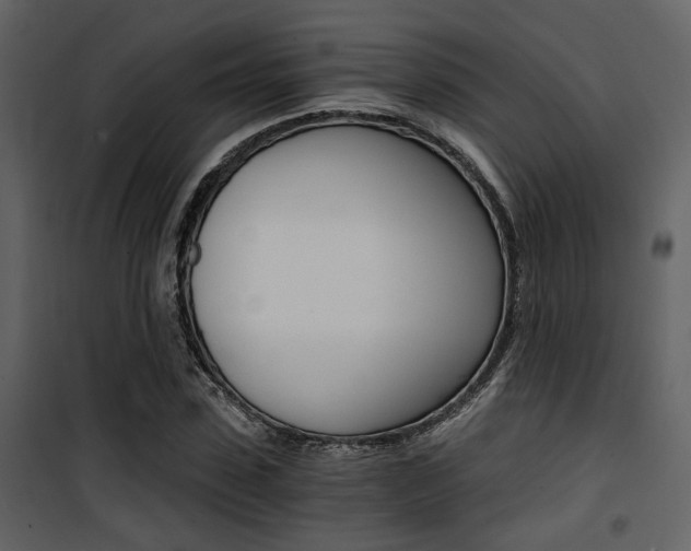 X0000101950923200807171130