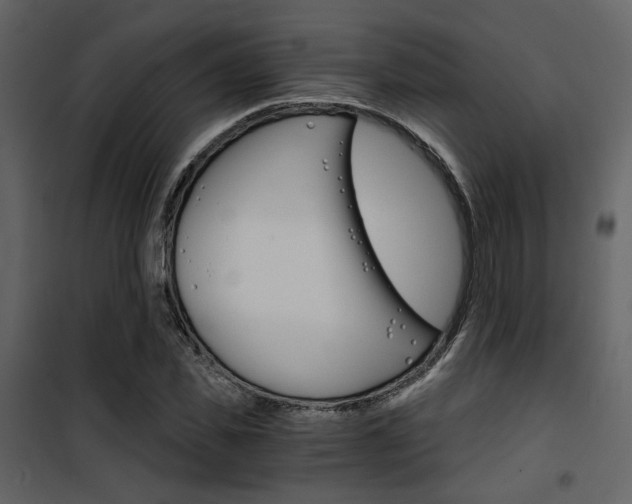X0000101950925200807171130