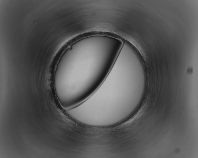 X0000101950926200807171130