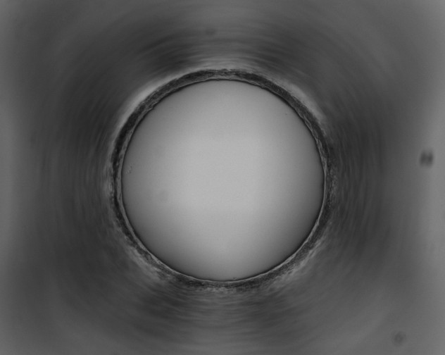 X0000101950927200807171130