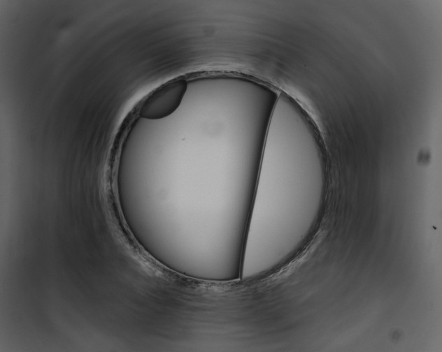 X0000101950928200807171130