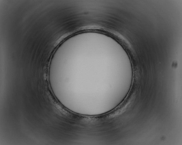X0000101950929200807171130