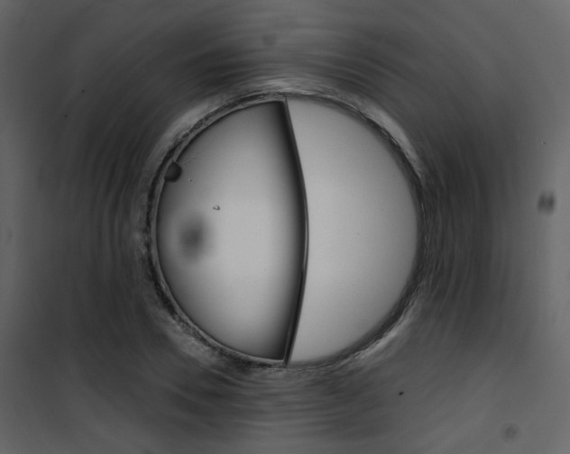 X0000101950930200807171130
