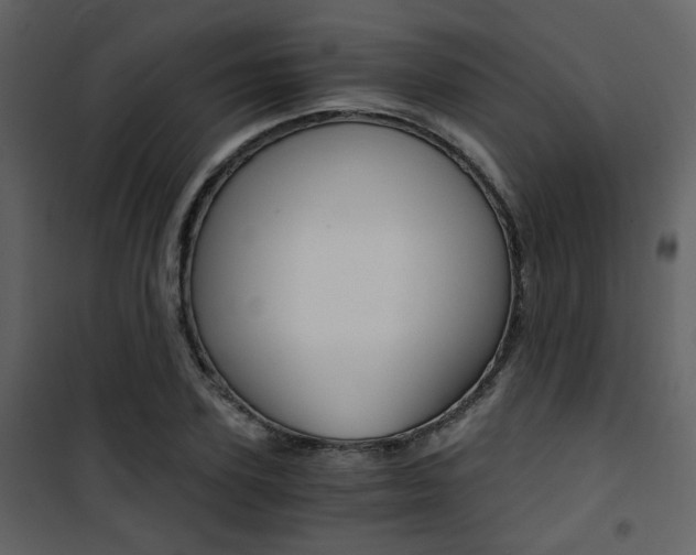 X0000101950931200807171130