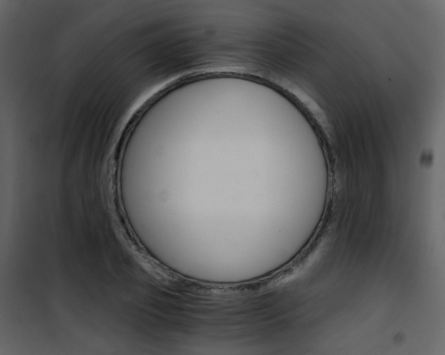 X0000101950933200807171130