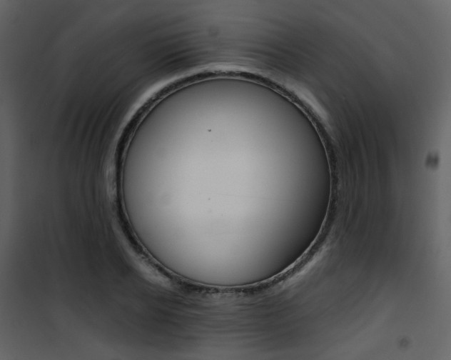 X0000101950934200807171130