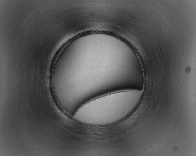 X0000101950935200807171130