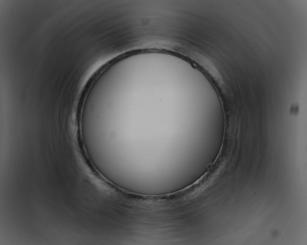X0000101950936200807171130