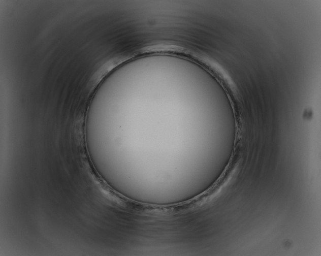 X0000101950937200807171130