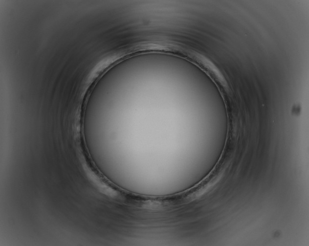 X0000101950938200807171130