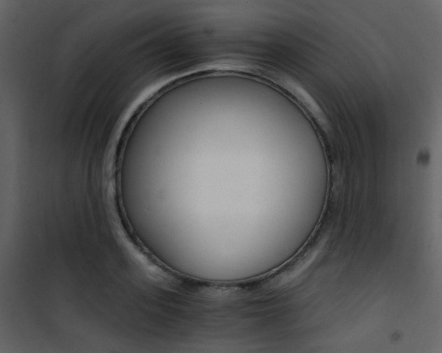 X0000101950939200807171130