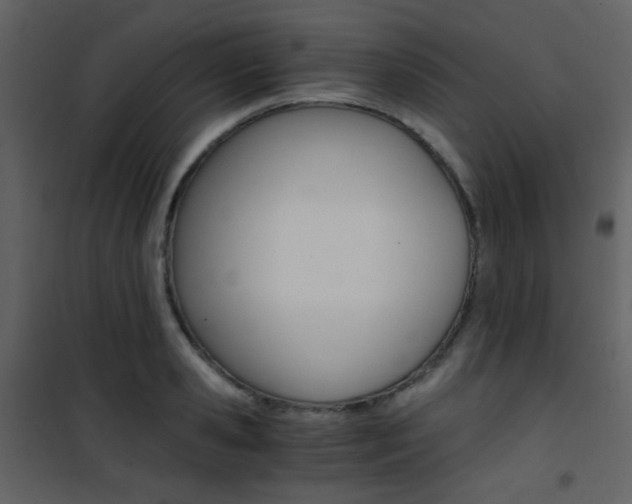 X0000101950941200807171130