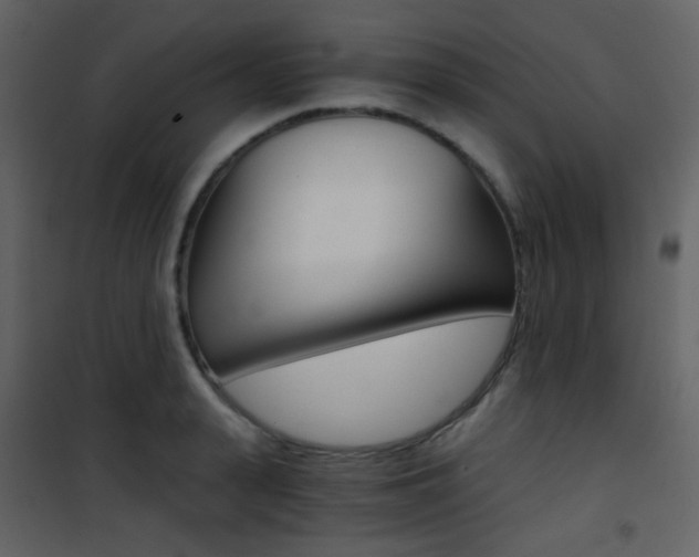 X0000101950943200807171130