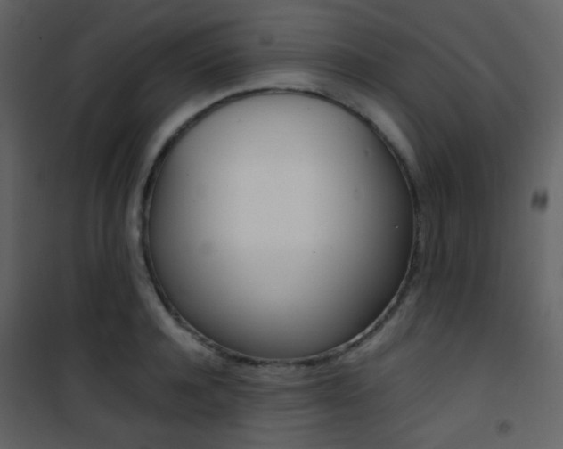 X0000101950944200807171130