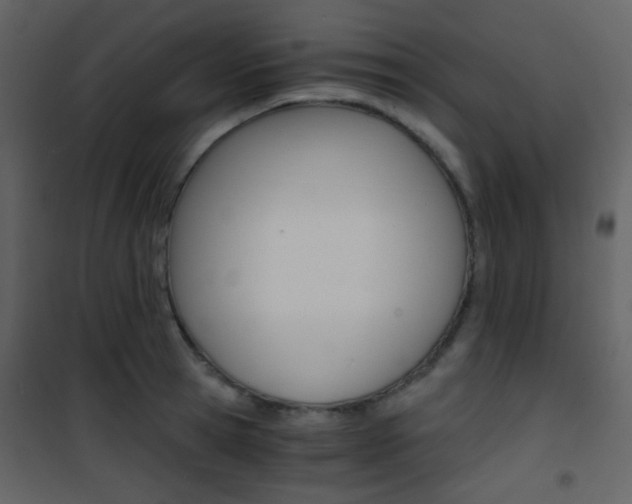 X0000101950945200807171130