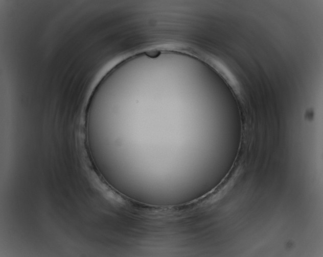 X0000101950948200807171130