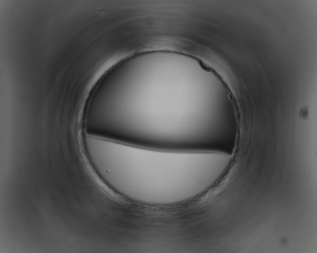 X0000101950949200807171130