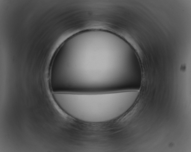 X0000101950951200807171130