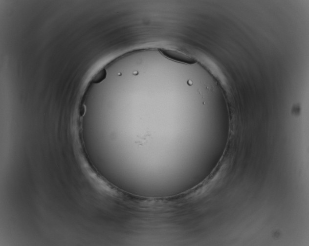 X0000101950952200807171130