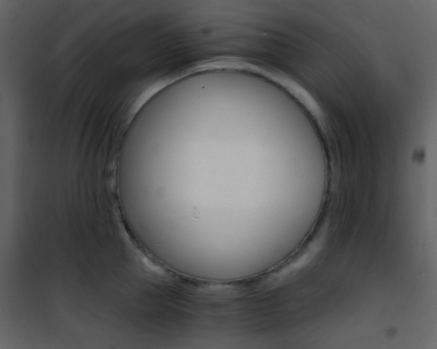 X0000101950953200807171130