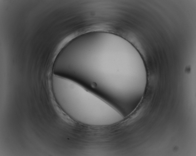 X0000101950954200807171130