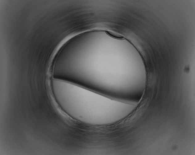 X0000101950955200807171130