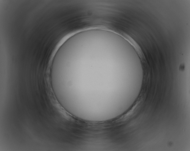 X0000101950956200807171130