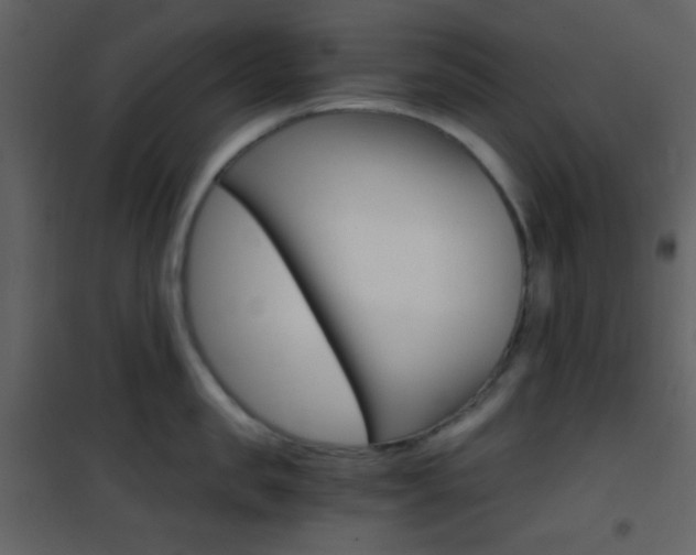 X0000101950957200807171130