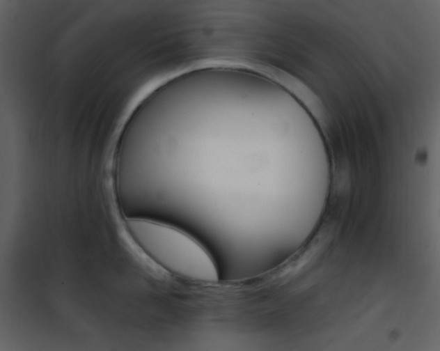 X0000101950958200807171130