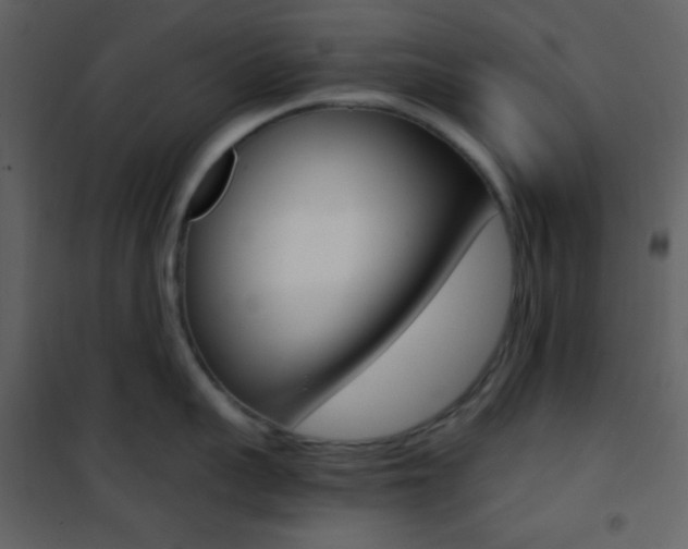 X0000101950959200807171130