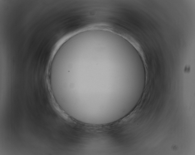 X0000101950960200807171130