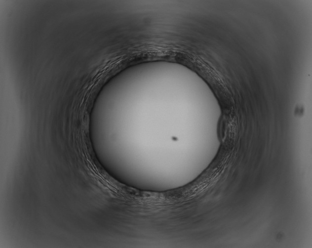 X0000101950961200807171129