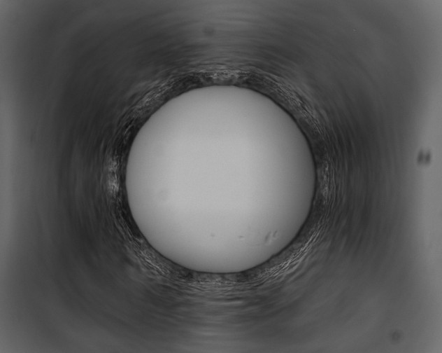 X0000101950962200807171129