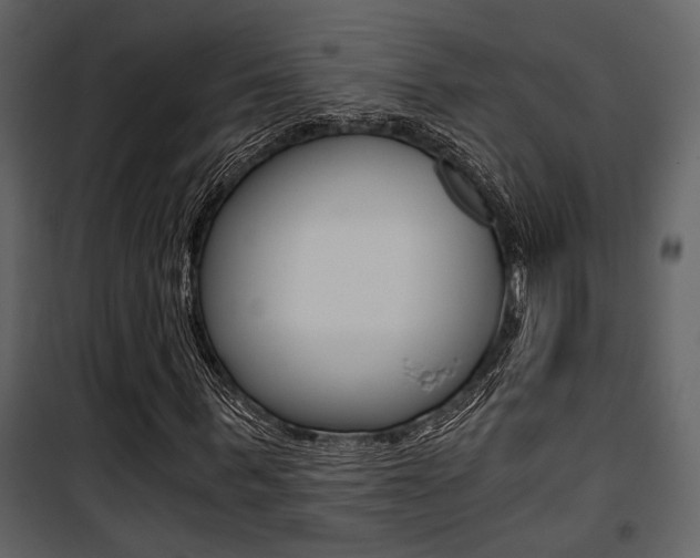 X0000101950963200807171129