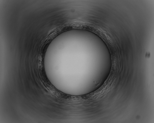 X0000101950964200807171129