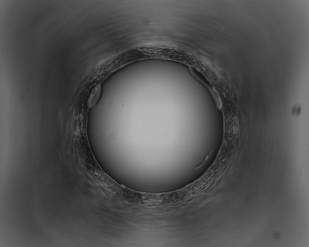 X0000101950965200807171129