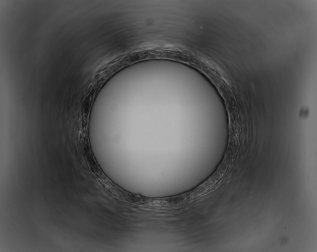 X0000101950966200807171129
