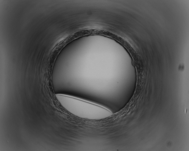 X0000101950967200807171129