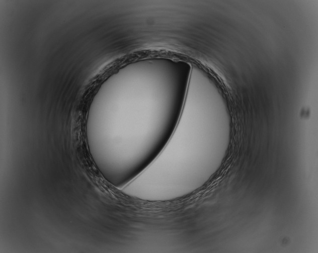 X0000101950968200807171129
