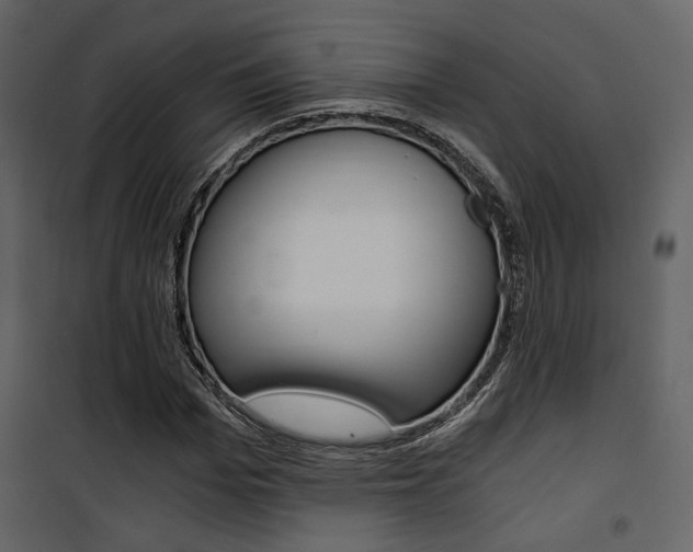X0000101950969200807171129