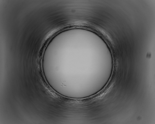 X0000101950970200807171129