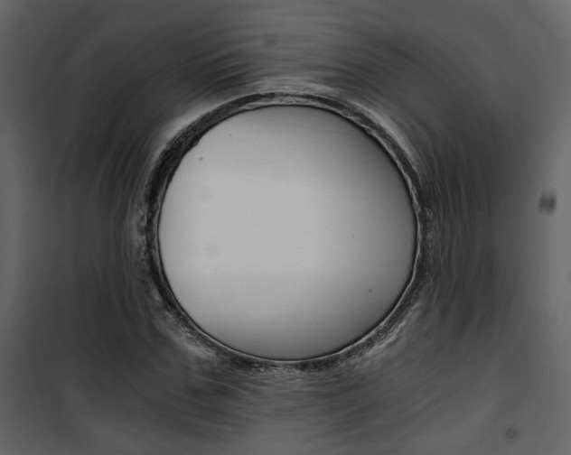 X0000101950971200807171129