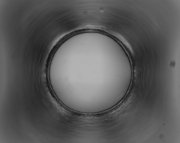 X0000101950972200807171129