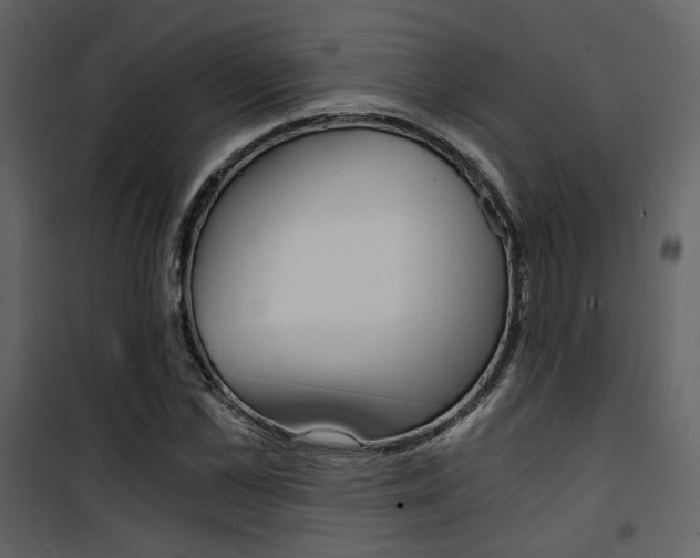 X0000101950973200807171129