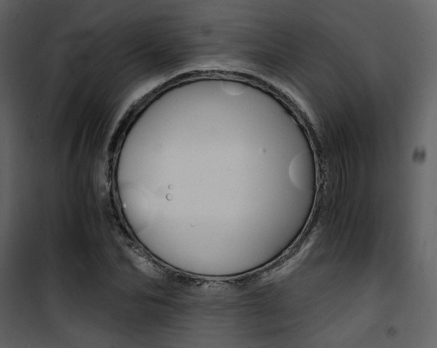 X0000101950974200807171129