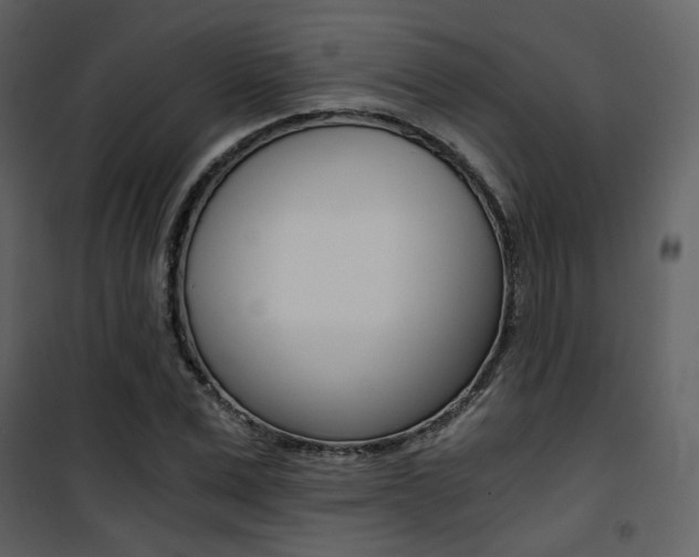 X0000101950975200807171129
