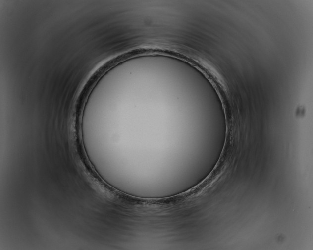 X0000101950976200807171129