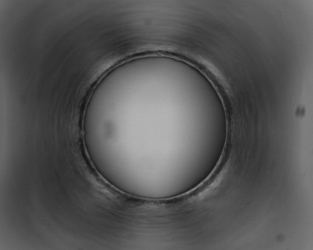 X0000101950977200807171129