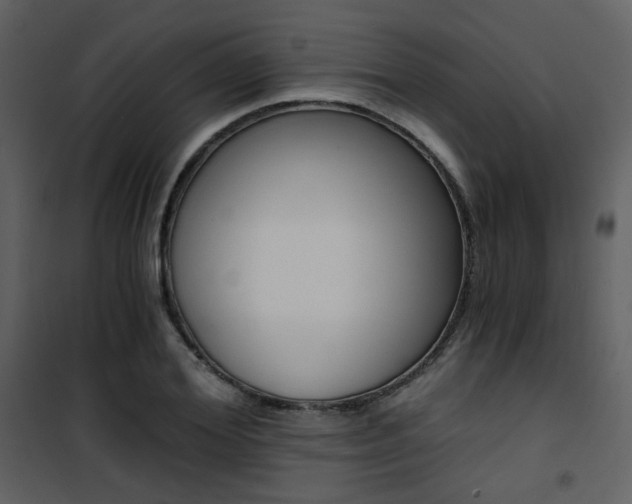 X0000101950980200807171129