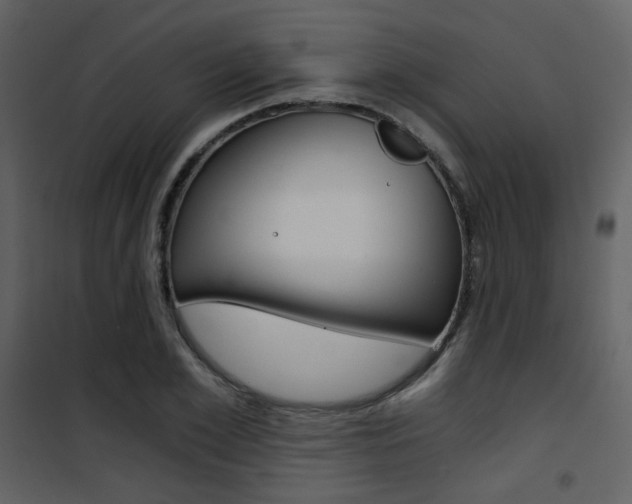 X0000101950981200807171129